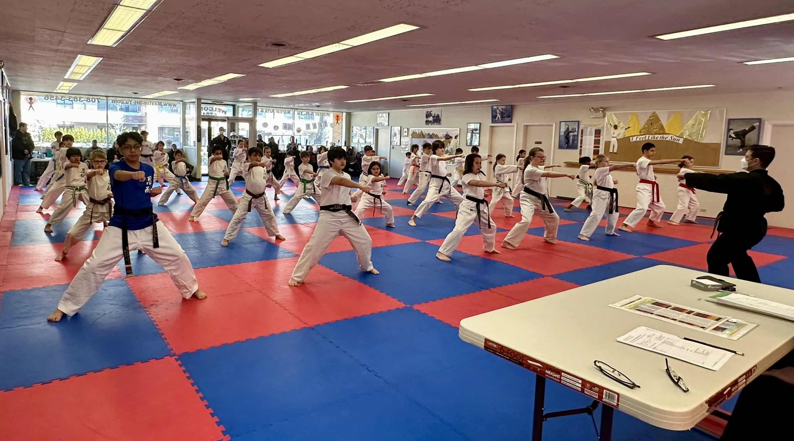 Private Martial Arts Coaching