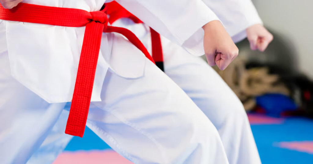 Start Your Journey: Discovering Karate at SilentEchoProject