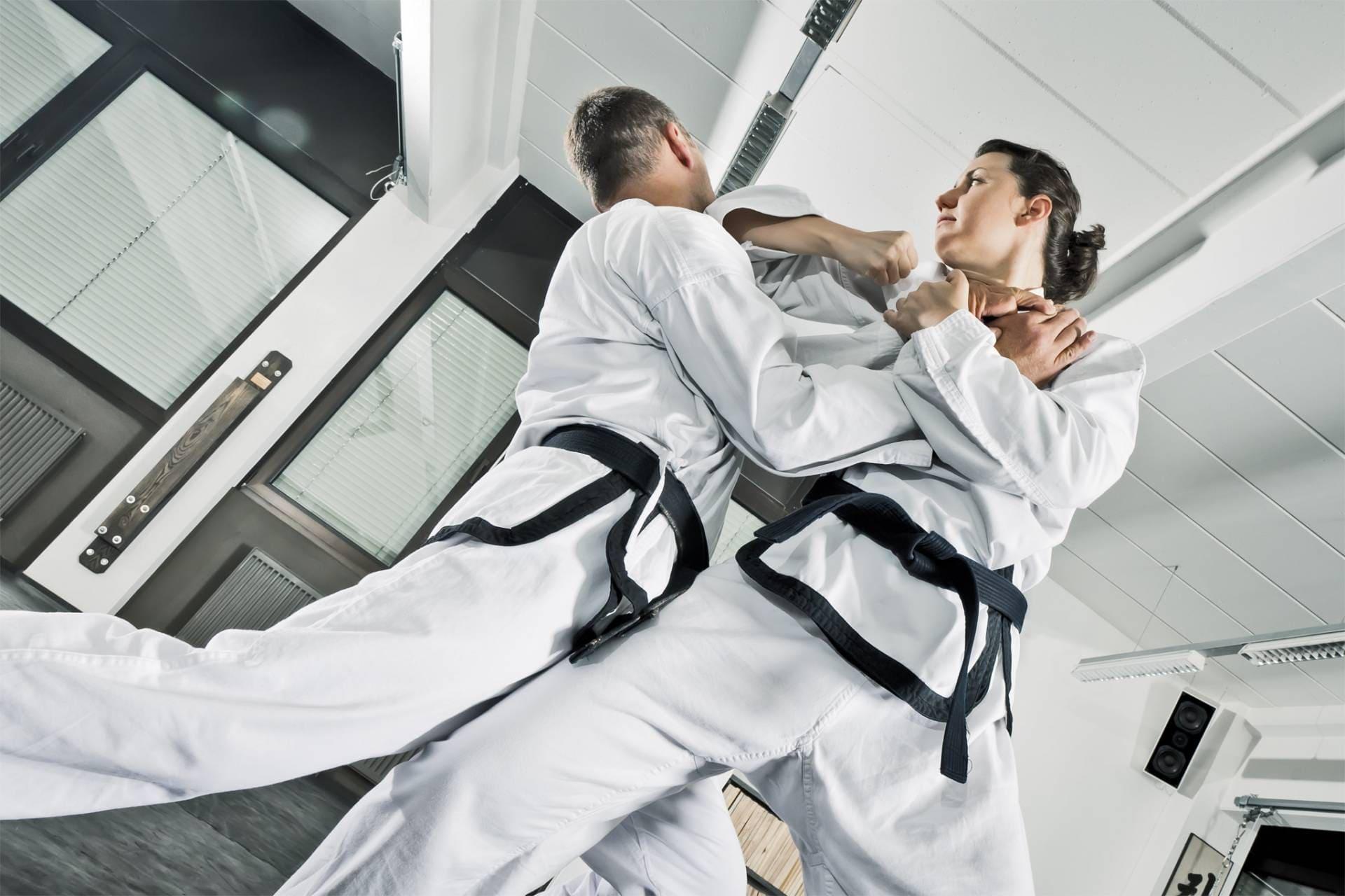 Foundational Karate Training
